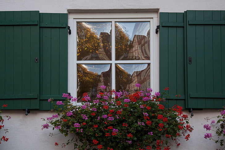 Inicio, antiguo, ventana, vidrio de ventana gwölbtes, espejado, persianas, verde