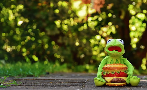 kermit, frog, cheeseburger, hamburger, funny, animal, stuffed animal