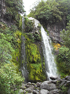 tasmania, waterfall, australia, water, nature, landscape, rock