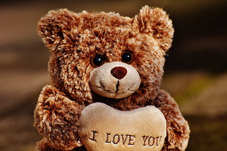 Kærlighed, Teddy, bjørne, Nuttet, udstoppede dyr, Valentinsdag, venner