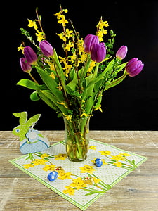 tulipány, kvety, kvet, kvet, jar, rezané kvety, jarné kvety