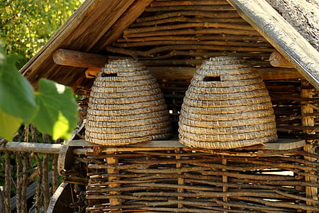 蜂巢, 蜜蜂, 蜂箱, 从历史上看