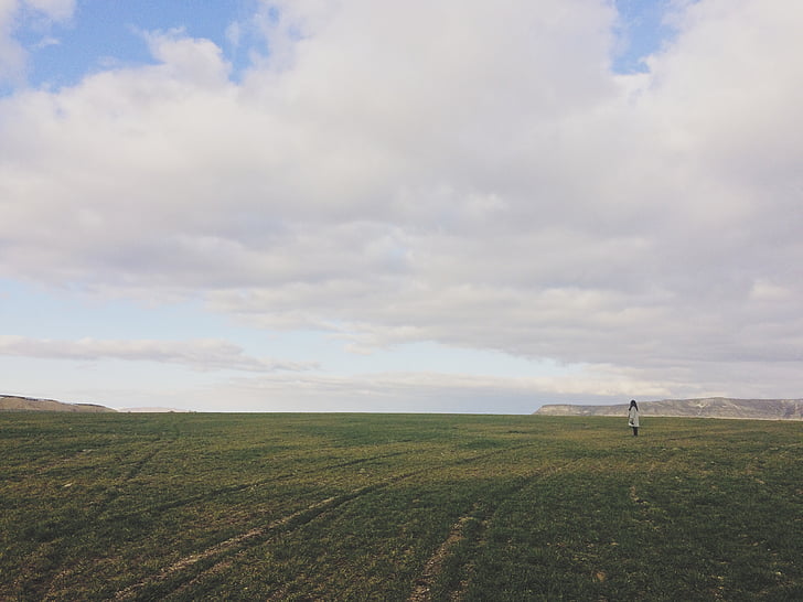 person, standing, green, grass, dark, sky, day