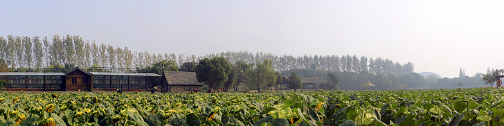 China, Chinês, ao ar livre, verde, velho, paisagem, modo de exibição