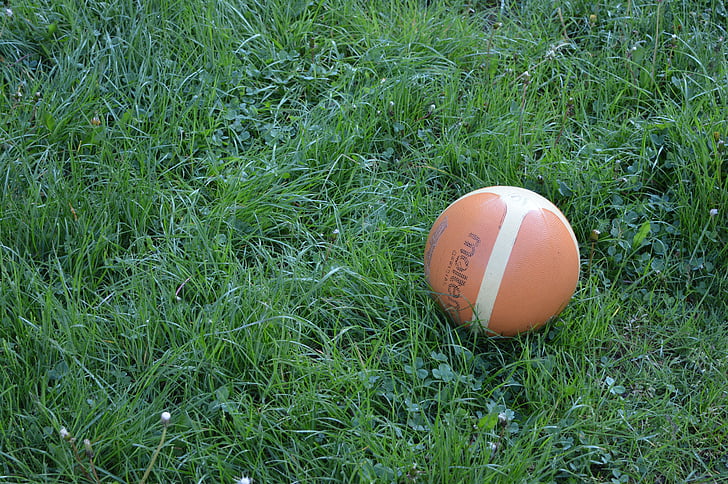 ball, orange, grass, grey