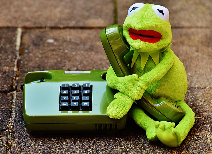 Kermit, żaba, telefon, Rysunek, śmieszne, żaby, zwierząt