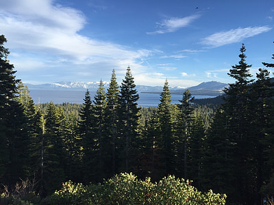 Lago tahoe, árvores, montanha, Pinheiro, Tahoe, Lago, pacífica