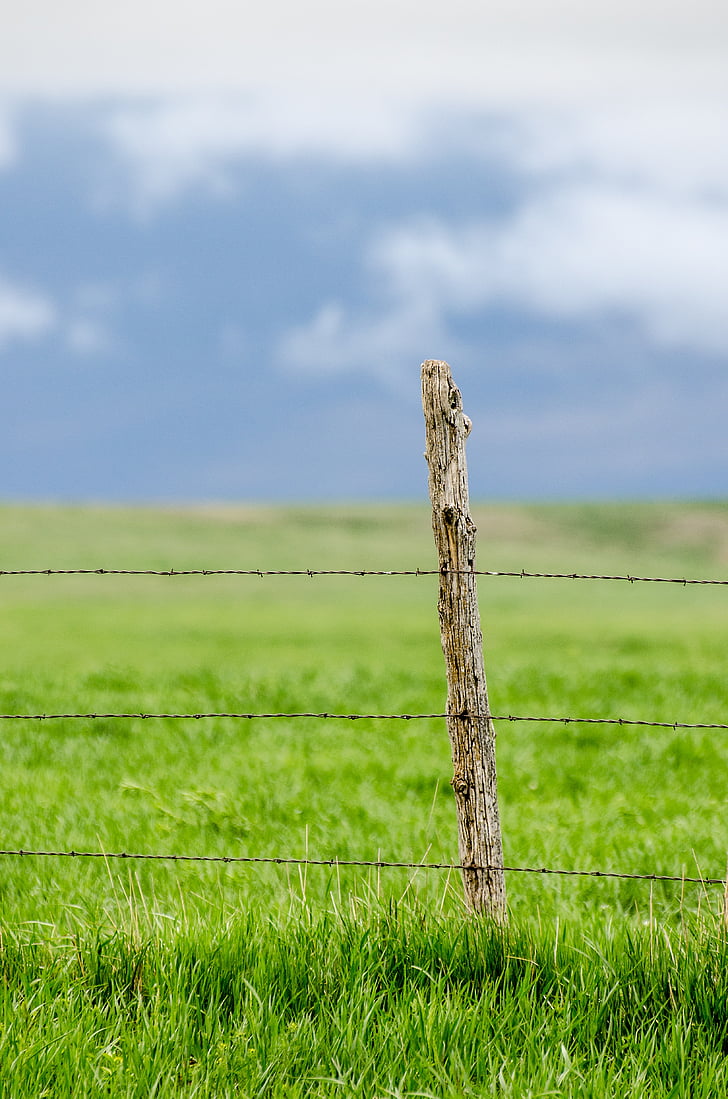 fence post, barbed wire, pasture, green, blue sky, blue, ranch