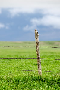 stup ograde, bodljikava žica, pašnjak, zelena, plavo nebo, plava, ranč