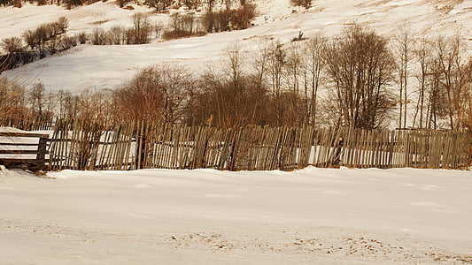 forest winter, wooden fence, country, wooden, snow, landscape, nature