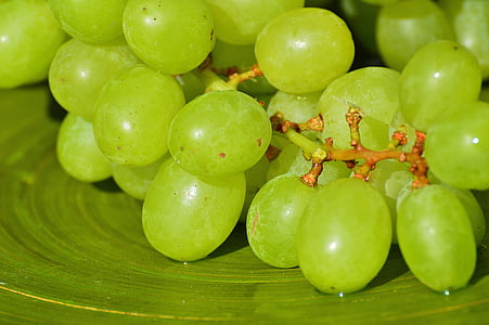 grapes, fruits, healthy, fruit, food, green, sweet