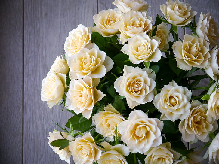 розы, Букет из роз, Букет, Белый, желтый, вид сверху, романтический