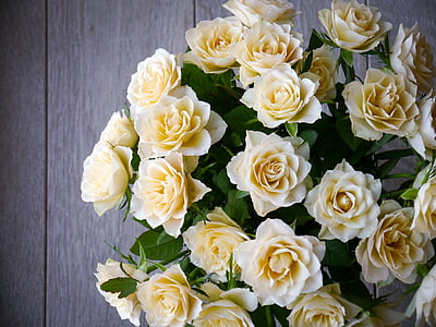 roses, bouquet of roses, bouquet, white, yellow, top view, romantic