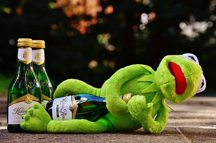 Kermit, kikker, wijn, drankje, alcohol, dronken, rest