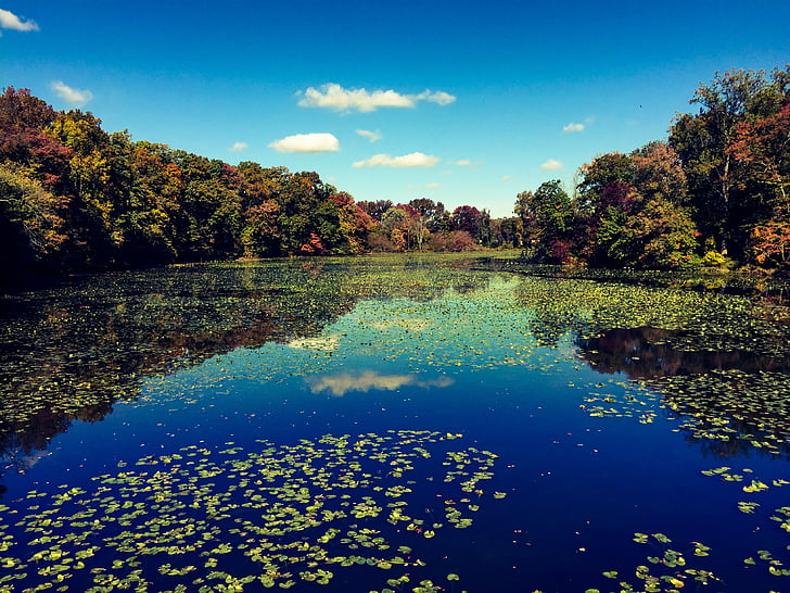 podzim, na podzim, jezero, krajina, Příroda, reflexe, řeka