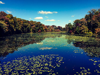 hösten, faller, sjön, landskap, naturen, reflektion, floden