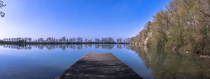 панорама, езеро, вода, уеб, дървета, банка, природата