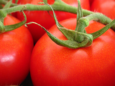Tomaten, Garten, Natur, Anlage, rot, Obst, Gemüse