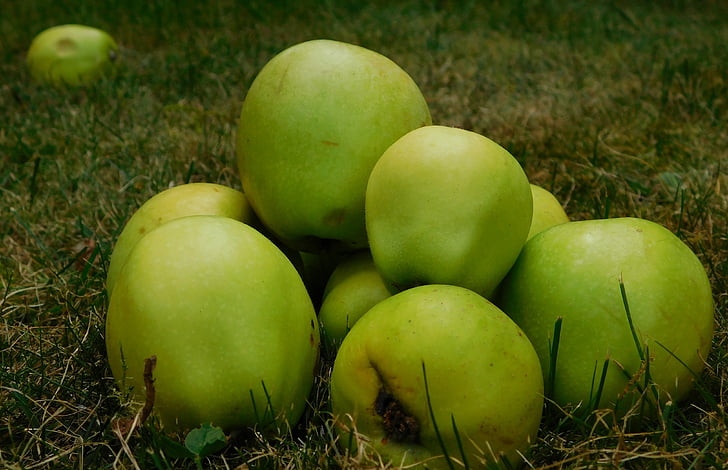 ābolu, augļi, augļi, obsthaufen, obstfall, rudens, veselīgi