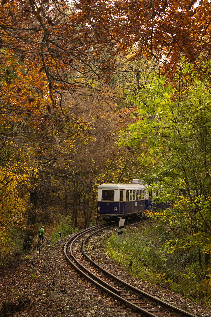 kereta api, alam, transportasi, hutan, kereta api, rel, musim gugur