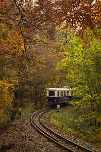 toget, natur, transport, skov, jernbane, skinner, efterår
