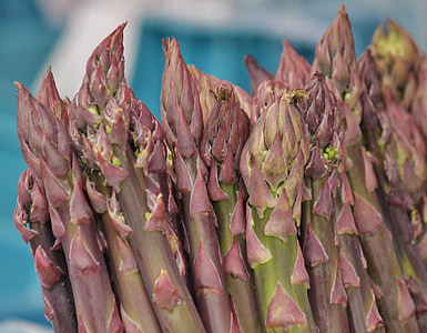green asparagus, asparagus, asparagus tips, vegetables, food, healthy, market stall