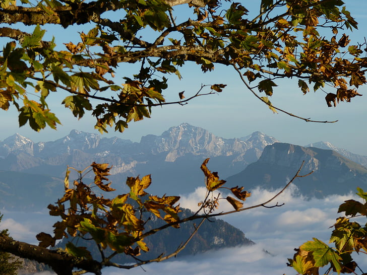 ภูเขา, อัลไพน์, สวิตเซอร์แลนด์, rigi, ดู, เมฆ, ซัมมิท