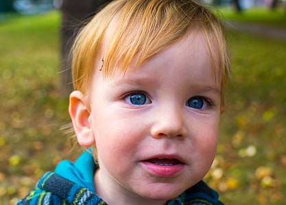 niño, Retrato, ojos azules, lindo, rubia, Bot, Parque