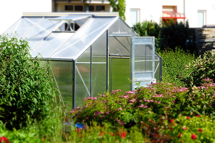 greenhouse, garden, glass house, planting, garden accessories, growth, climate