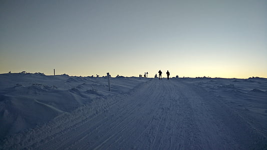 hiver, Laponie, est tombé, Finnois, froide, neige, la Laponie