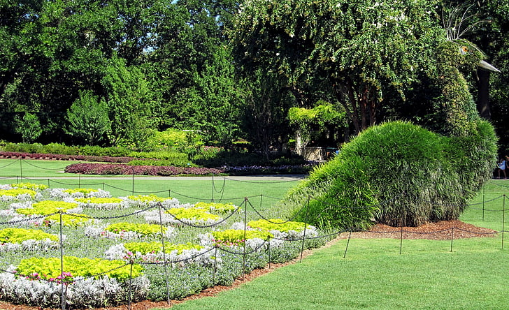 Topiary, påfugl, haven, dekoration, skøre indfald, lunefuld, blomstermotiver