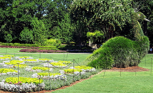 Topiary, påfugl, haven, dekoration, skøre indfald, lunefuld, blomstermotiver