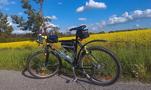 bicicleta, semilla de colza, campo, forma, Tour, Turismo, naturaleza