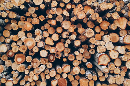 batch, close-up, dry, firewood, forestry, logs, pattern