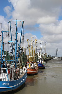Krevety, EBB, Dorum, rybářský přístav, Severní moře, Severní Německo