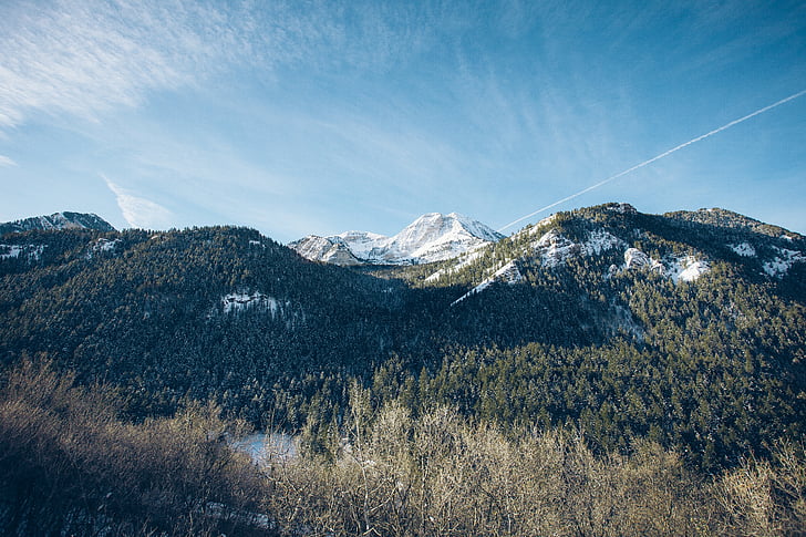 green, mountain, trees, daytime, grass, highland, landscape