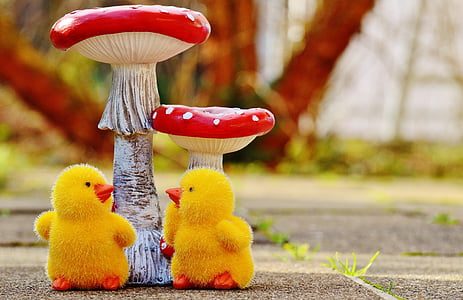 chicks, easter, mushrooms, fly agaric, cute, figure, easter theme