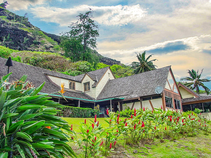 Oahu, Havaí, Casa, colina, tropical, flores