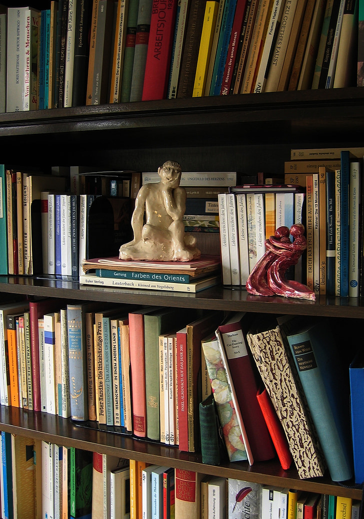 statula, plastikas, Manau, kad, mąstytojas, knyga, knygos, knygų lentynoje