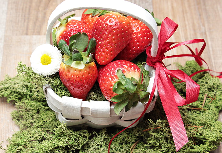 strawberries, basket, moss, blossom, bloom, spring, green