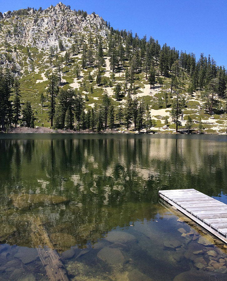 Tahoe, jasno, modra, kamnine, vode, dreves