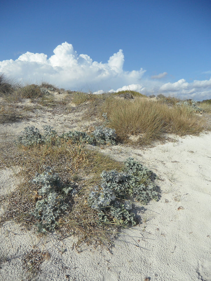 dune, paysage de dunes, vide, l’encrassement, sable fin, reste, calme
