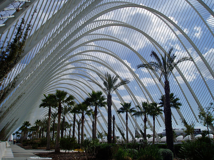 valencia, modern arch, city of arts and sciences, building, architecture, spain, tourism