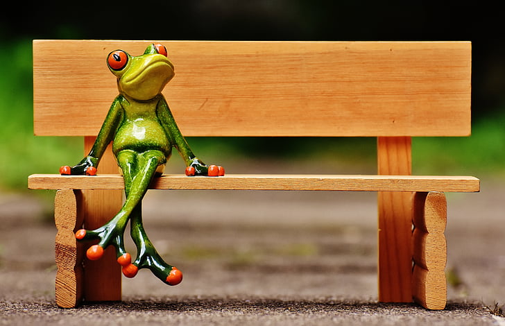 frog, sit, bank, bench, rest, break, funny
