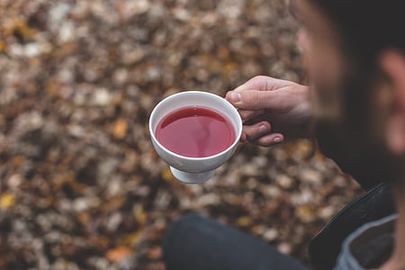 zunanji, listov, padec, jeseni, čaj, pijača, zdravo