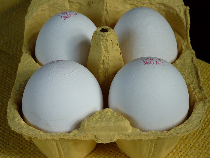 vajíčko, vejce krabičce, PLATO od vajec, jídlo, slepičí vejce