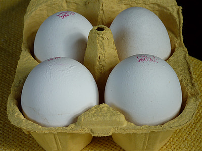 egg, egg carton, egg box, food, chicken eggs