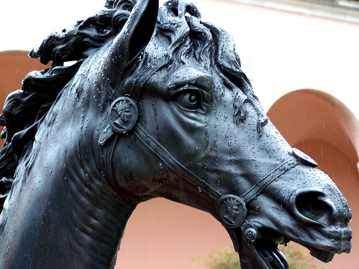cheval, pluie, statue de, Musée, équitation aux Jeux, art, Sarasota