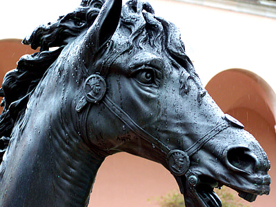 kůň, déšť, socha, Muzeum, jezdecké, umění, Sarasota