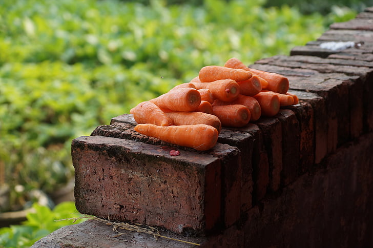 carrots, still life, vegetable
